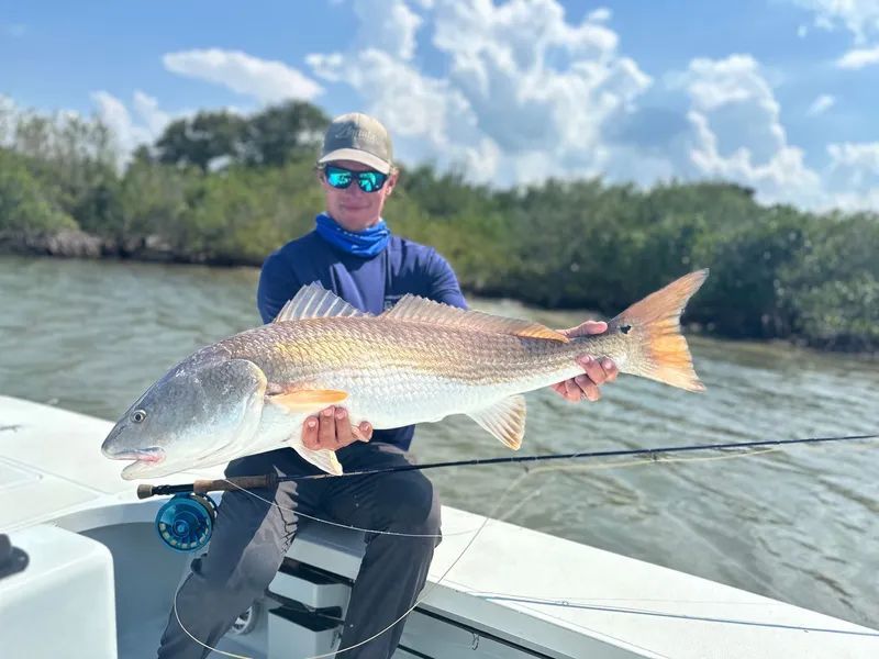 Angler on a boat holding a large silver fish on a sunny coastal waterway