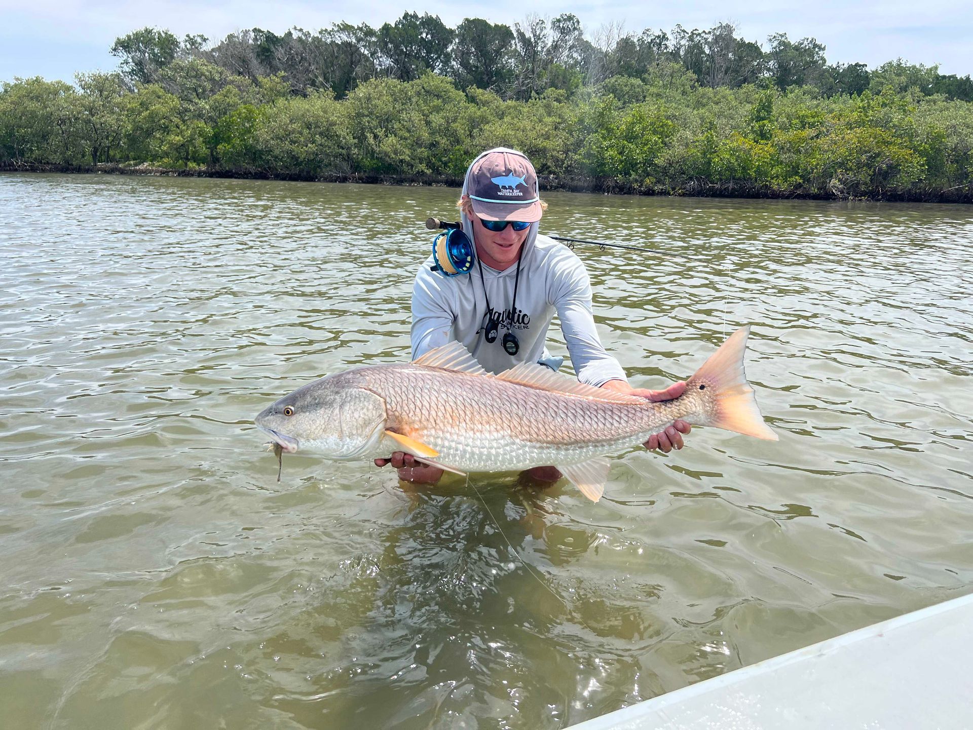 Person holding a large fish in shallow water near mangroves under a bright sky