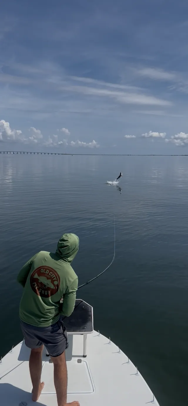 Person on a boat fishing at sea, reeling in a fish under a cloudy blue sky