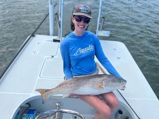 Person on a boat holding a large fish, wearing a blue shirt and cap, with water in the background