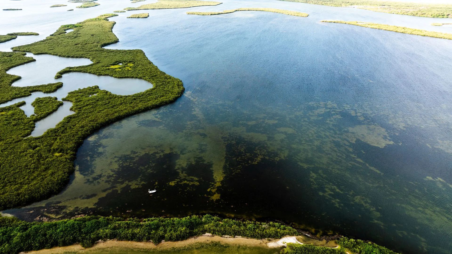 Aerial view of a calm blue lake with green marshy islands and shoreline under bright sunlight