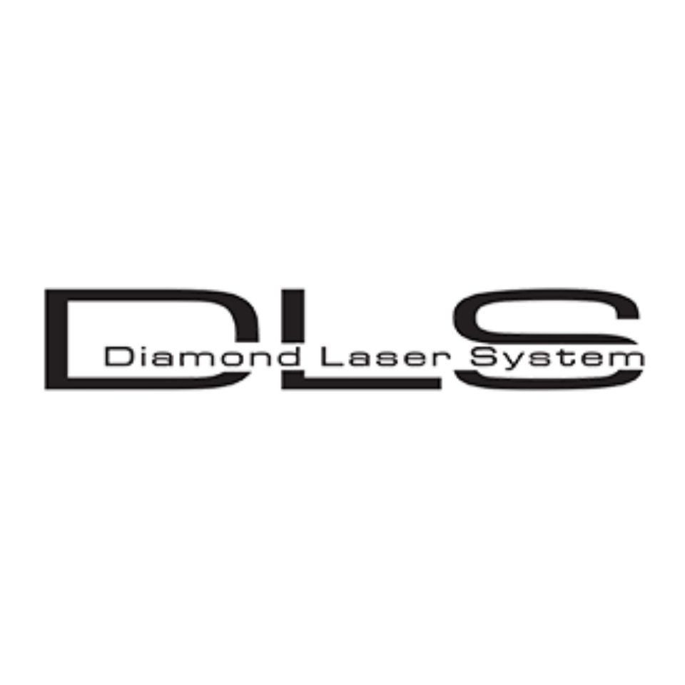 Logo DLS