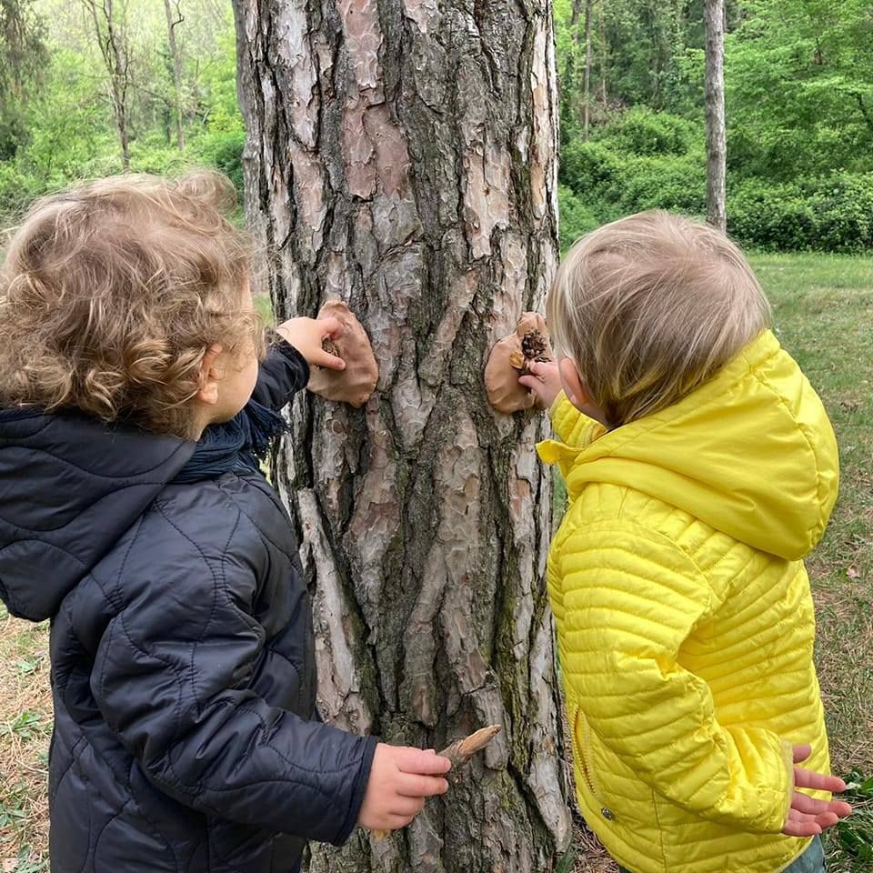 Attività ludiche