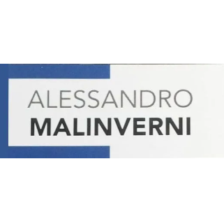 Logo con la scritta “Alessandro Malinverni” in grigio e nero all'interno di un rettangolo con bordo blu.