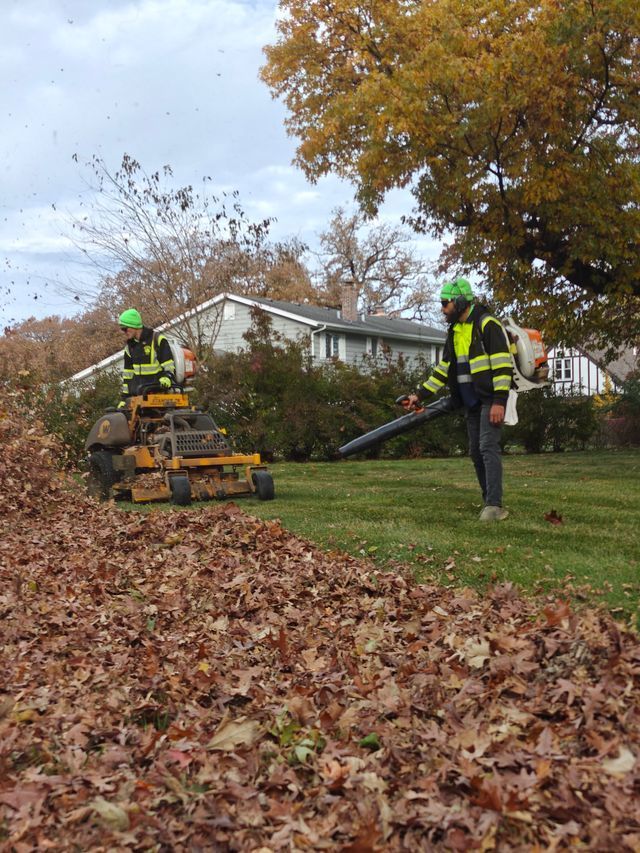 Workers using lawn equipment to clear fallen leaves in a suburban yard with autumn trees