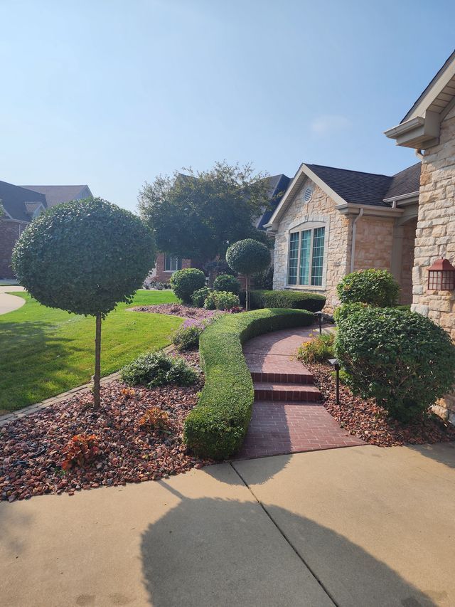 Curved brick garden path beside a house, with manicured shrubs and bright sunlight