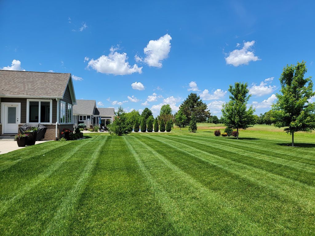 Suburban backyard with striped green lawn, blue sky, trees, and a house on the left.