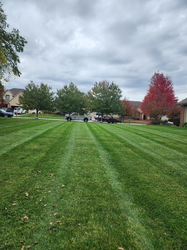 Grassy park with mowed stripes, cloudy sky, autumn trees, and houses in the background
