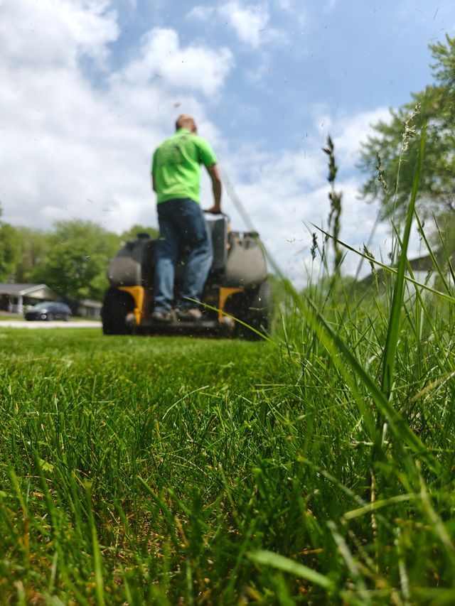 Person mowing a grassy lawn from a low angle, with blue sky and trees in the background