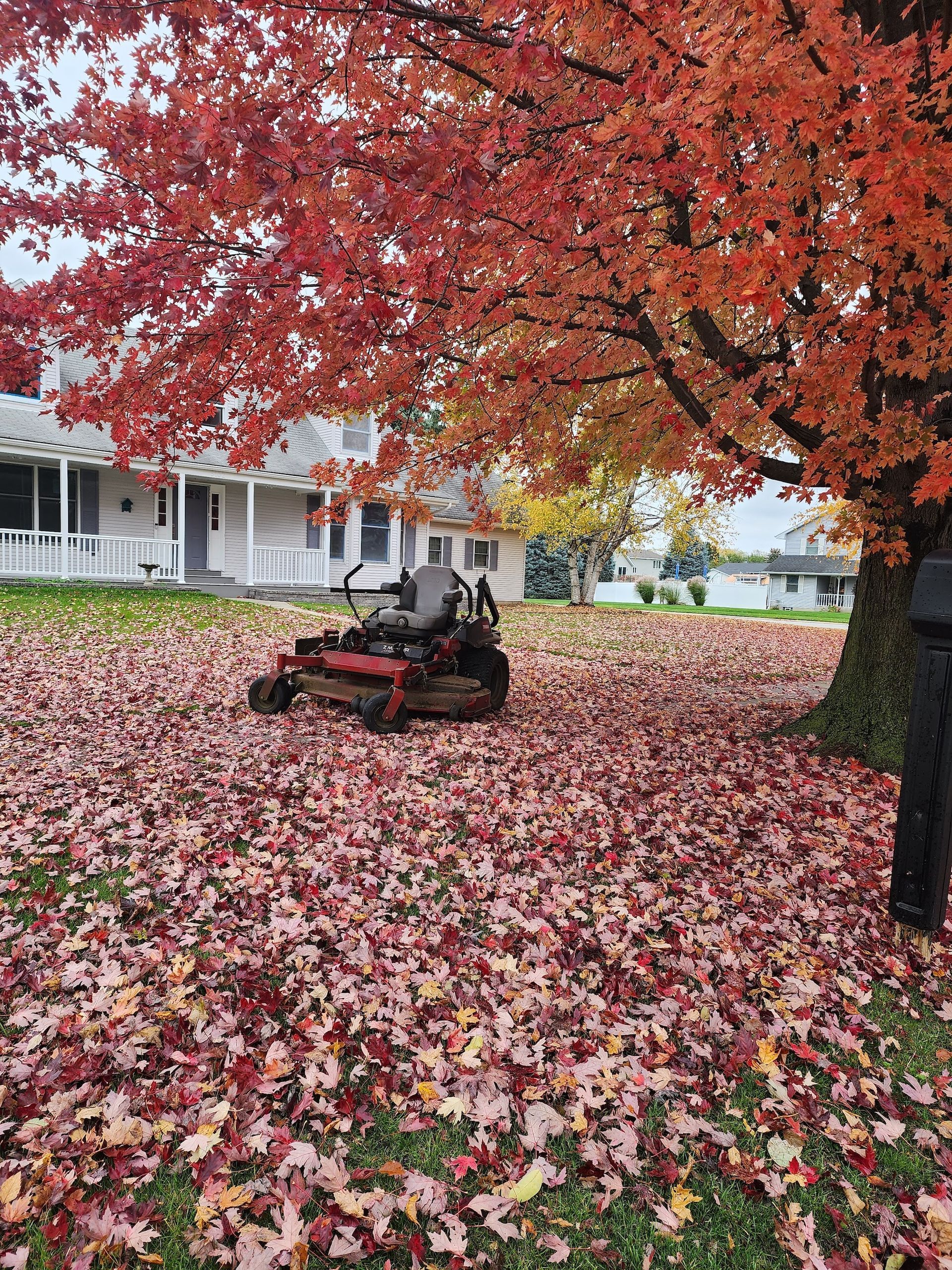 Person on riding mower under red autumn tree in a yard covered with fallen leaves