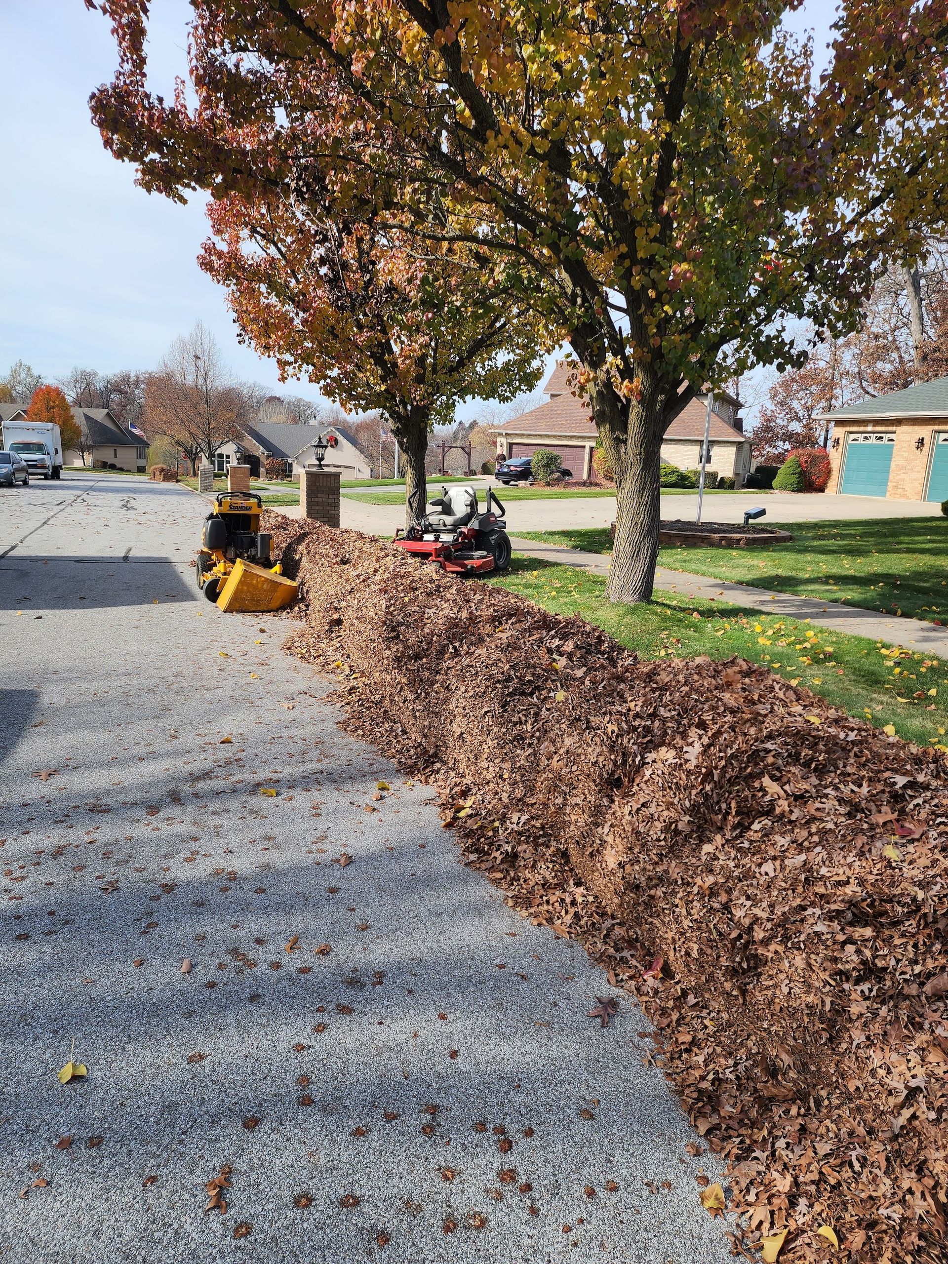 Leaf blower clearing autumn leaves along a suburban street beside a tree-lined sidewalk.