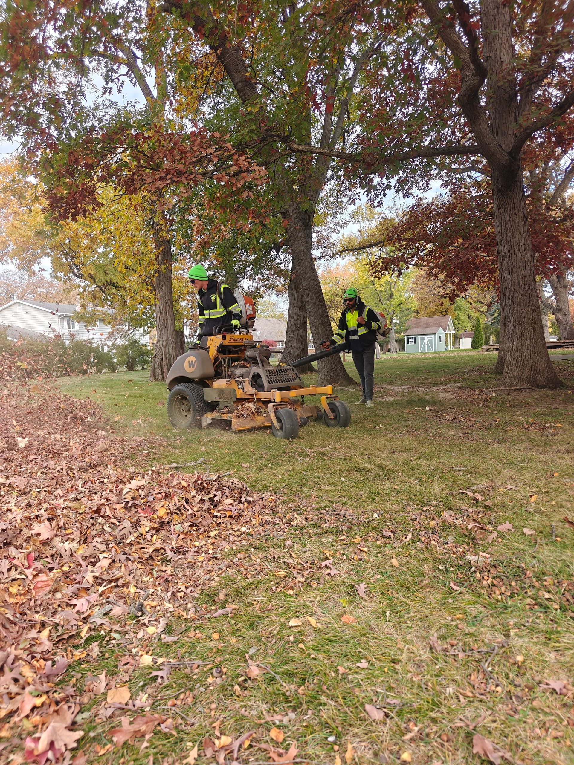 Workers using a leaf vacuum machine to clear autumn leaves under large trees