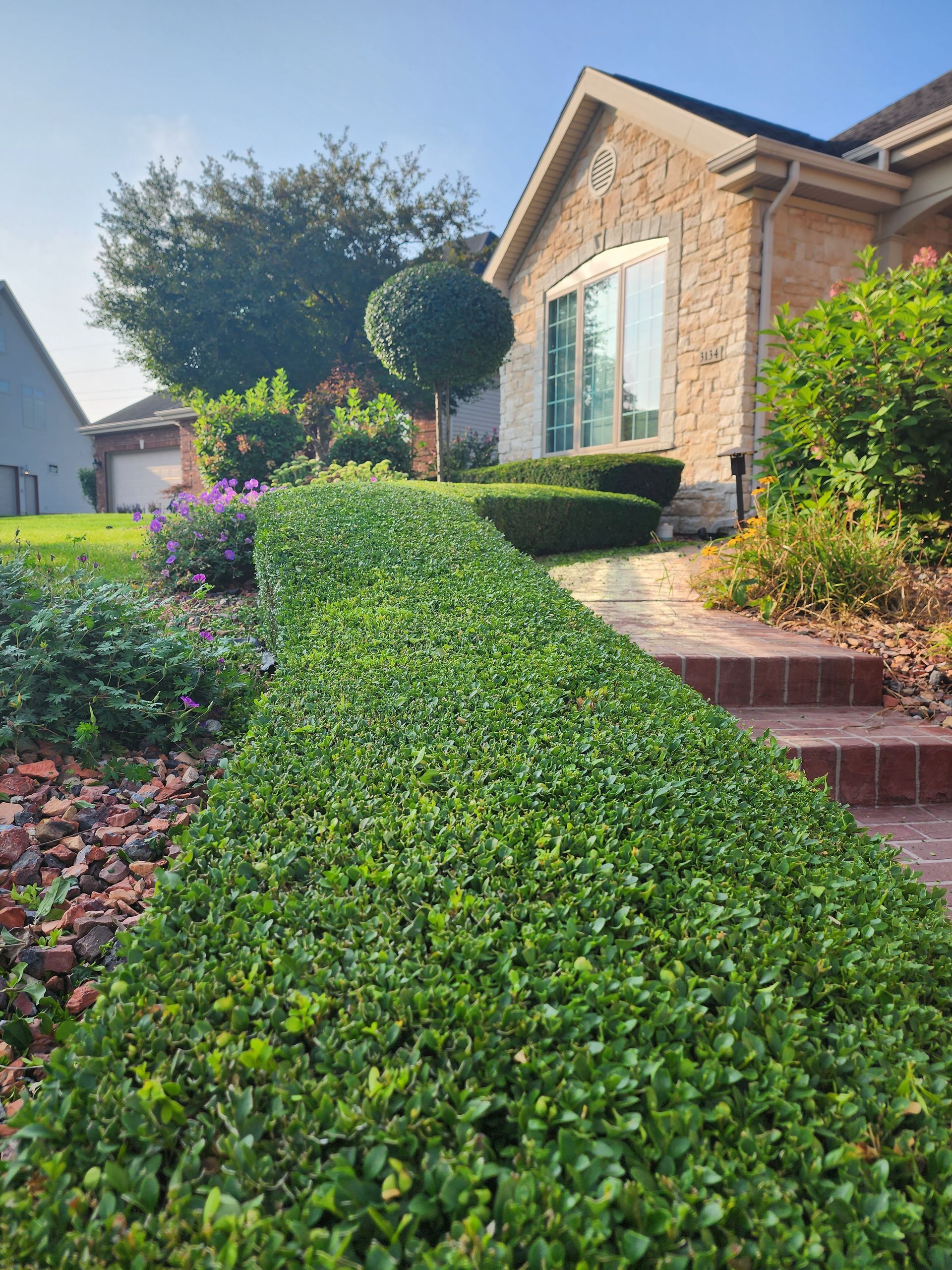 Front yard with neatly trimmed hedge leading to a brick house and steps in bright sunlight