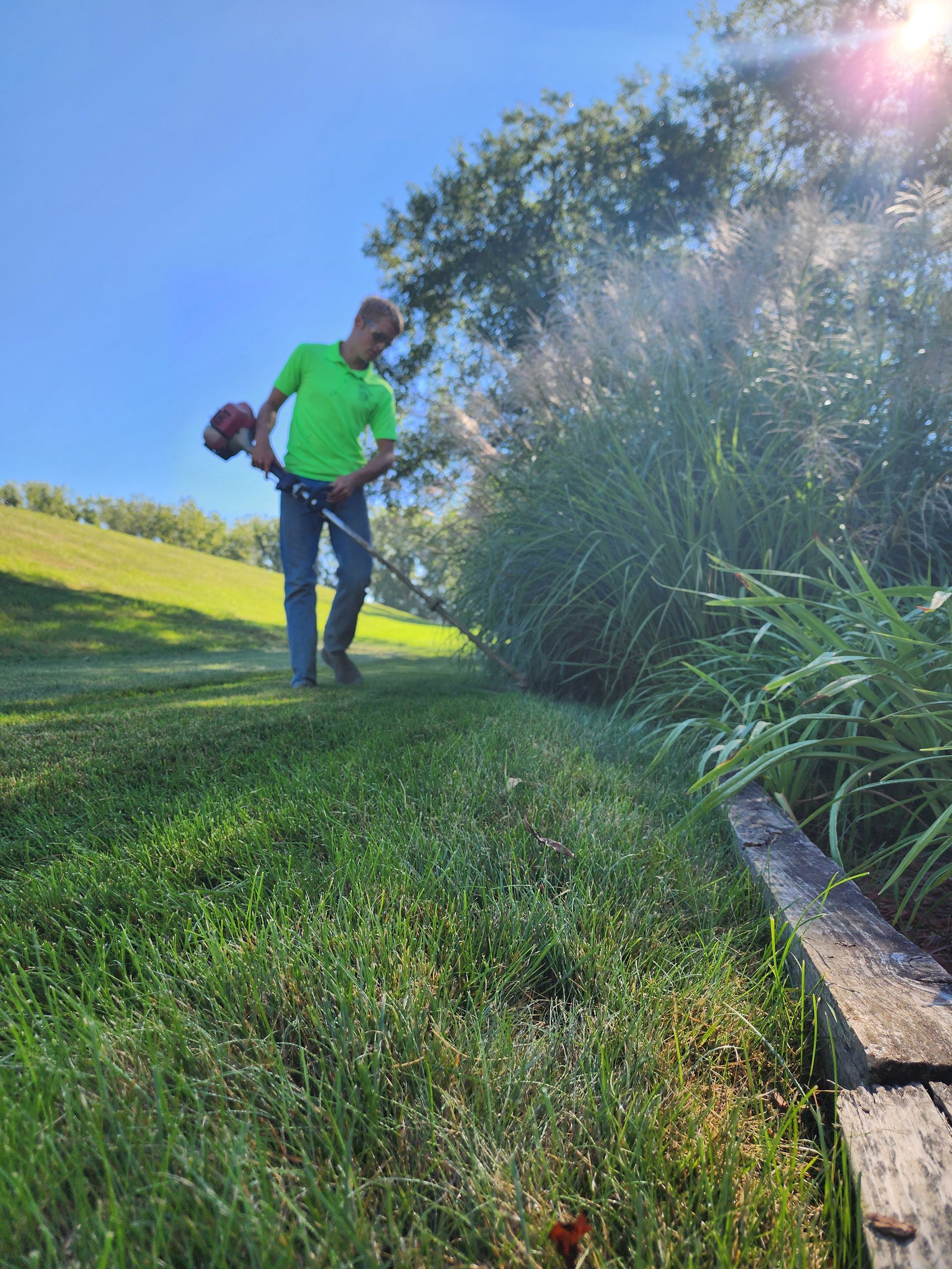 Man in bright green shirt standing on a grassy slope beside tall plants in sunlight