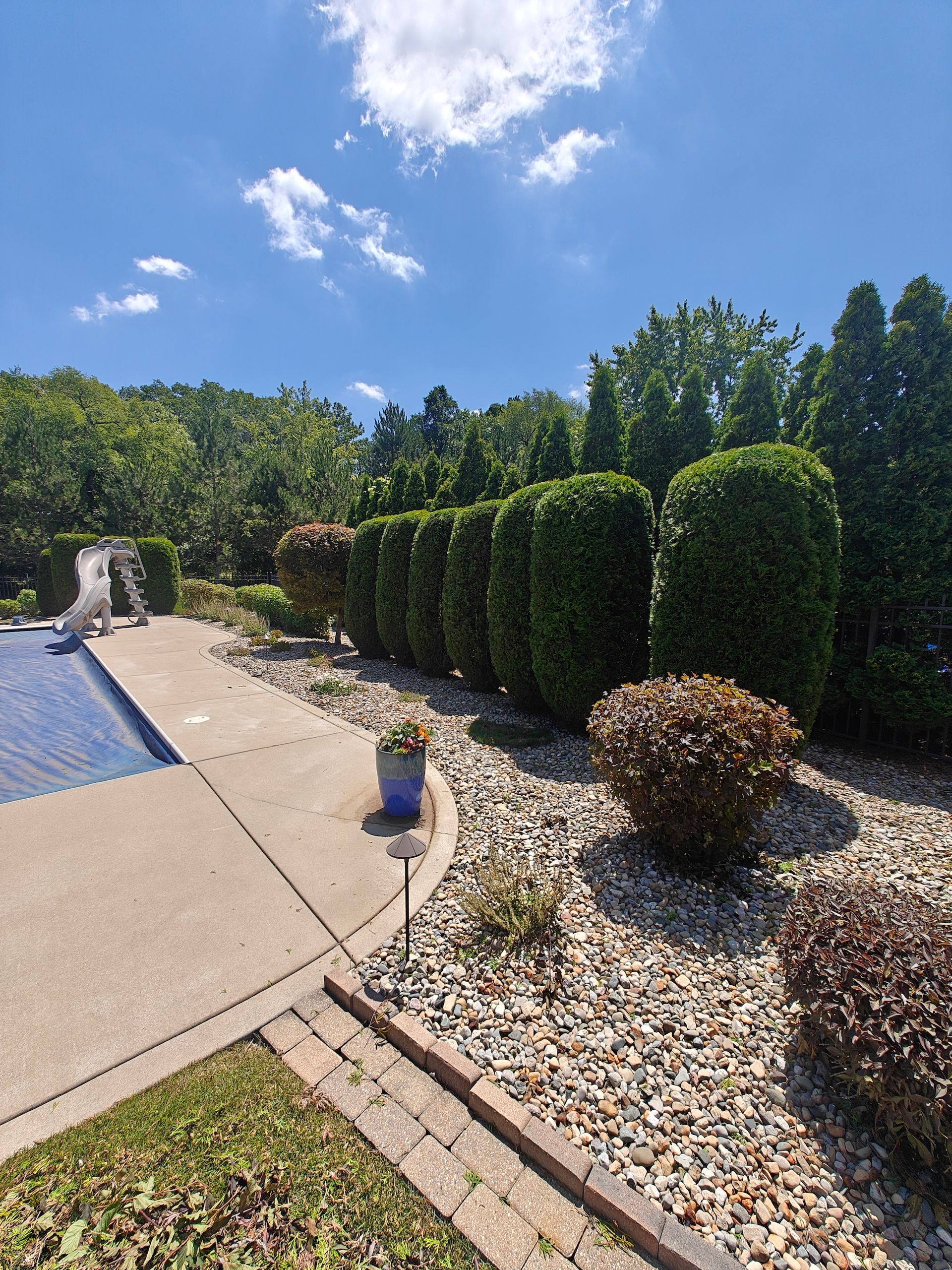 Sunny backyard with blue pool, paved patio, gravel bed, and trimmed hedges under a clear sky