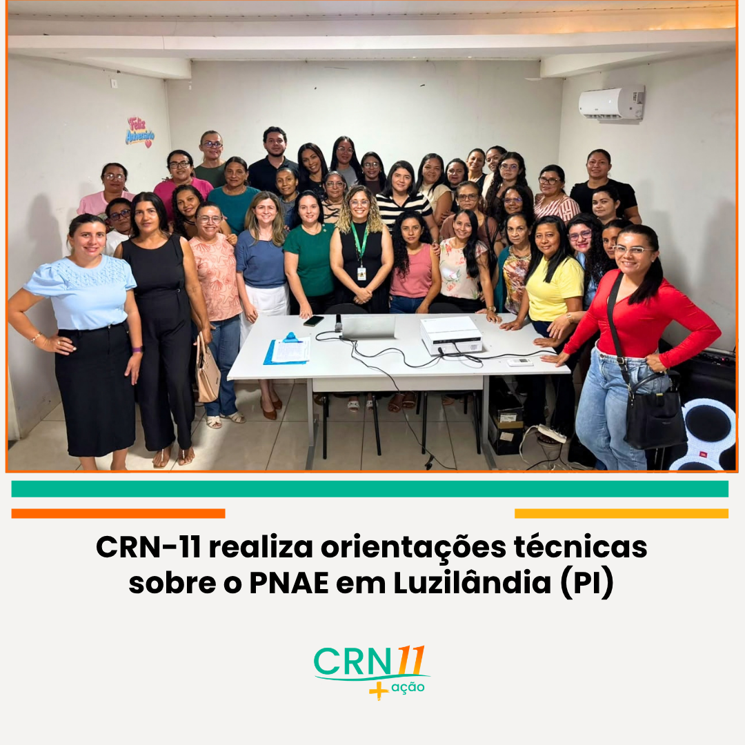 Grupo reunido em sala para orientação técnica do CRN-11 sobre o PNAE em Luzilândia (PI)