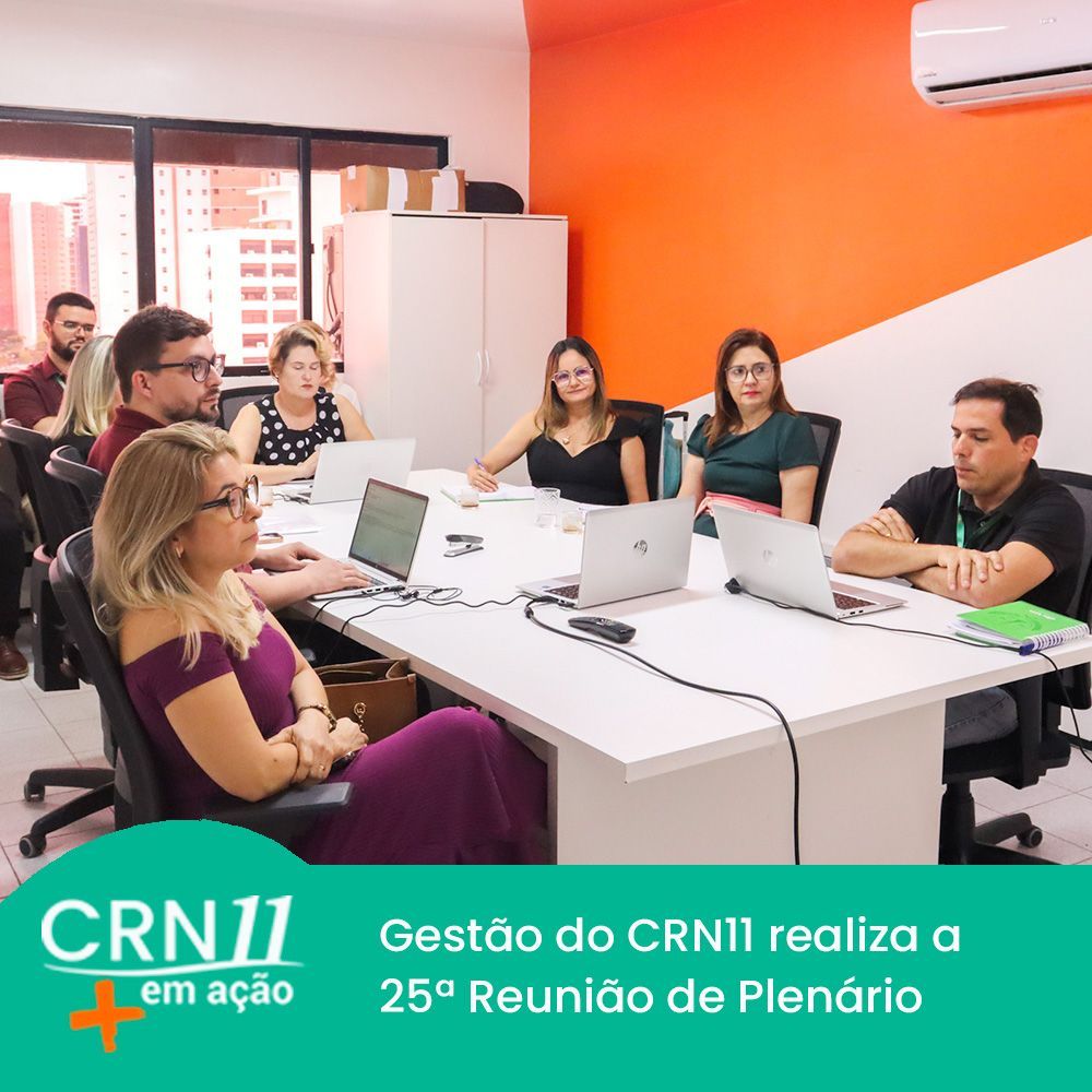 Reunião de plenário do CRN11 em sala de reuniões, com pessoas sentadas à mesa diante de notebooks.