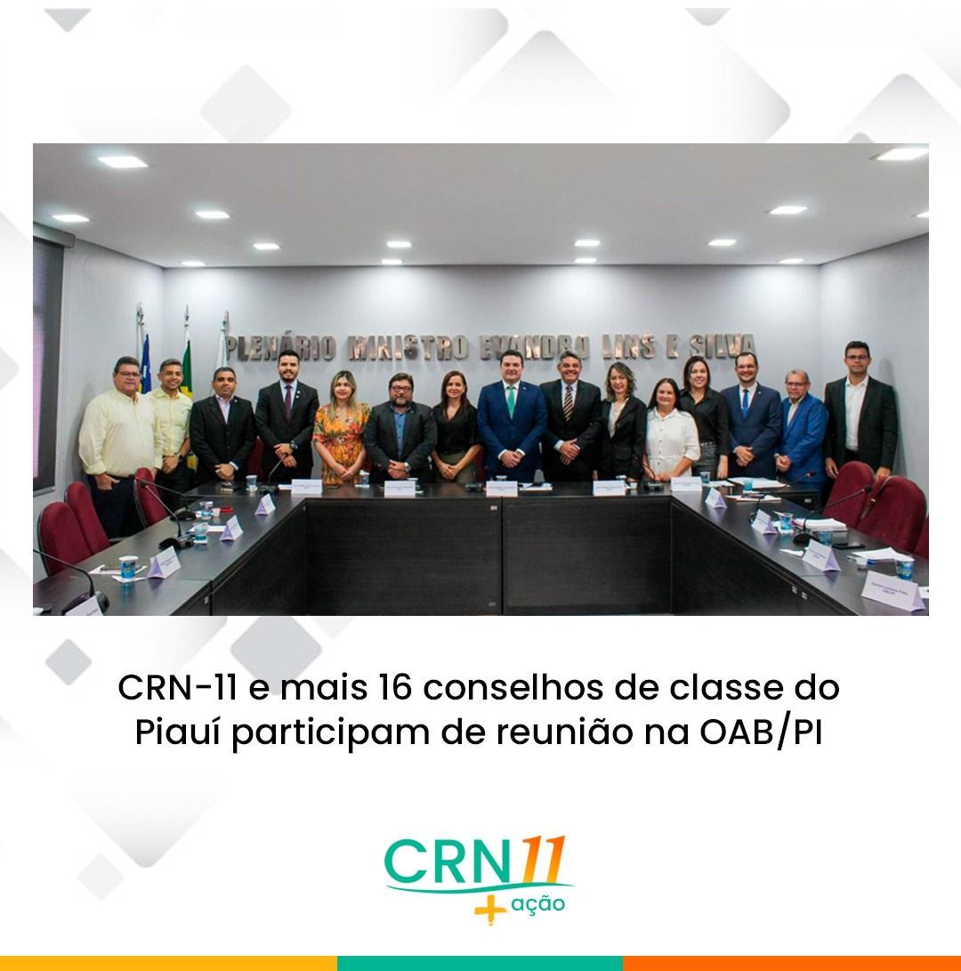 Grupo posa em reunião no auditório da OAB/PI com mesas em U e banner do CRN-11 ao fundo.