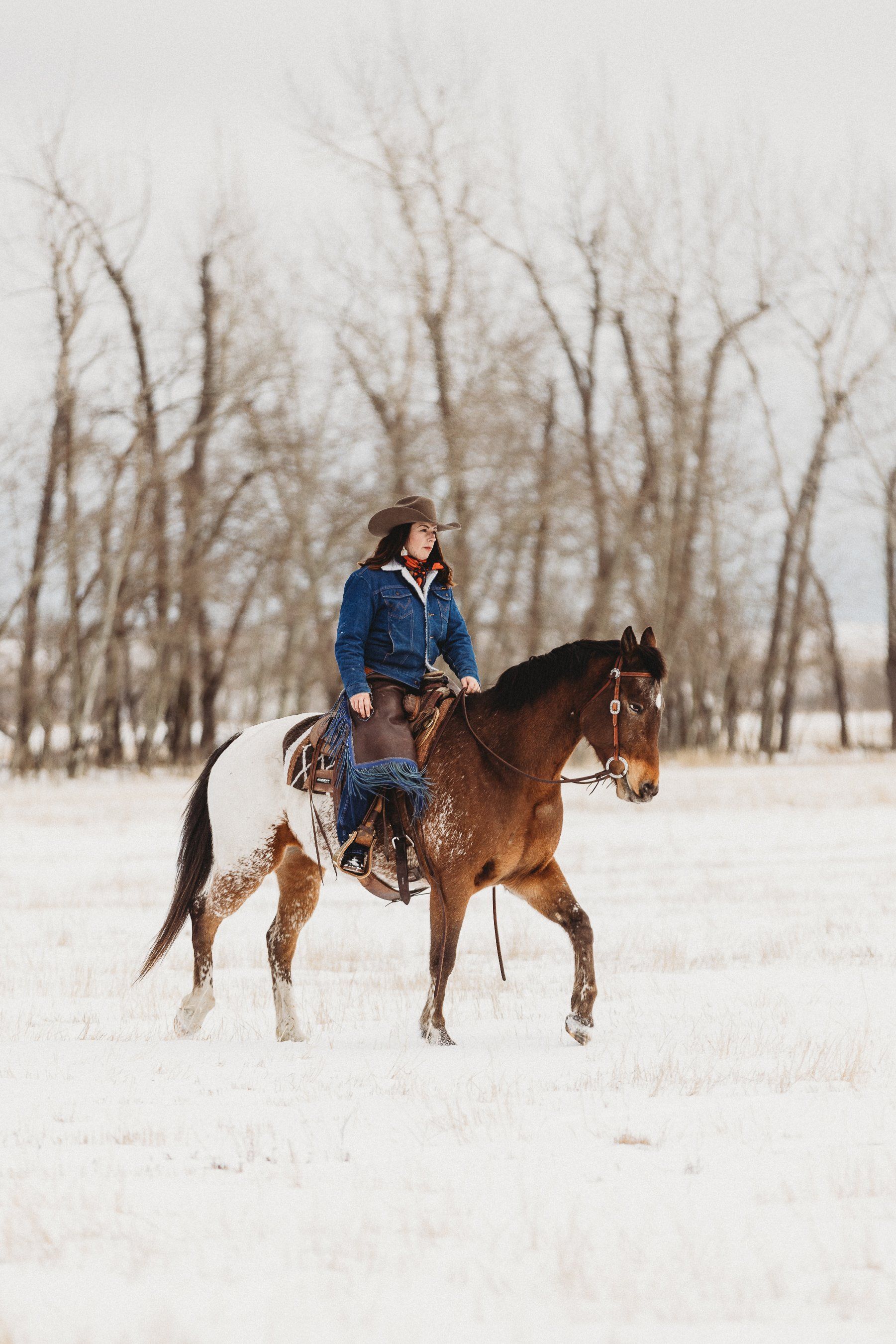 Cowboy riding a painted horse through a snowy field with bare trees in the background.