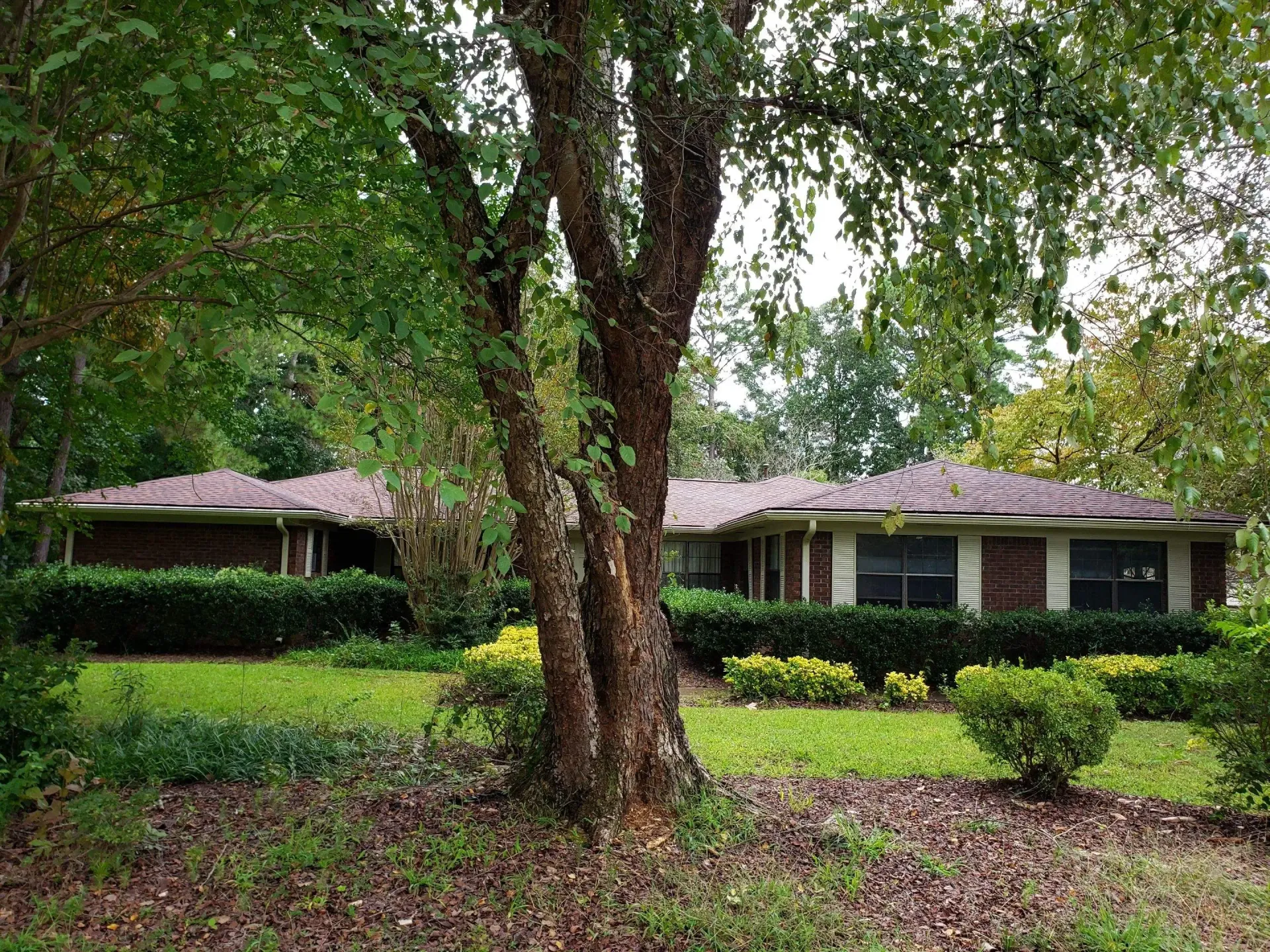 Brick ranch-style house with a brown roof, surrounded by green trees and shrubs, with a large tree in the foreground.