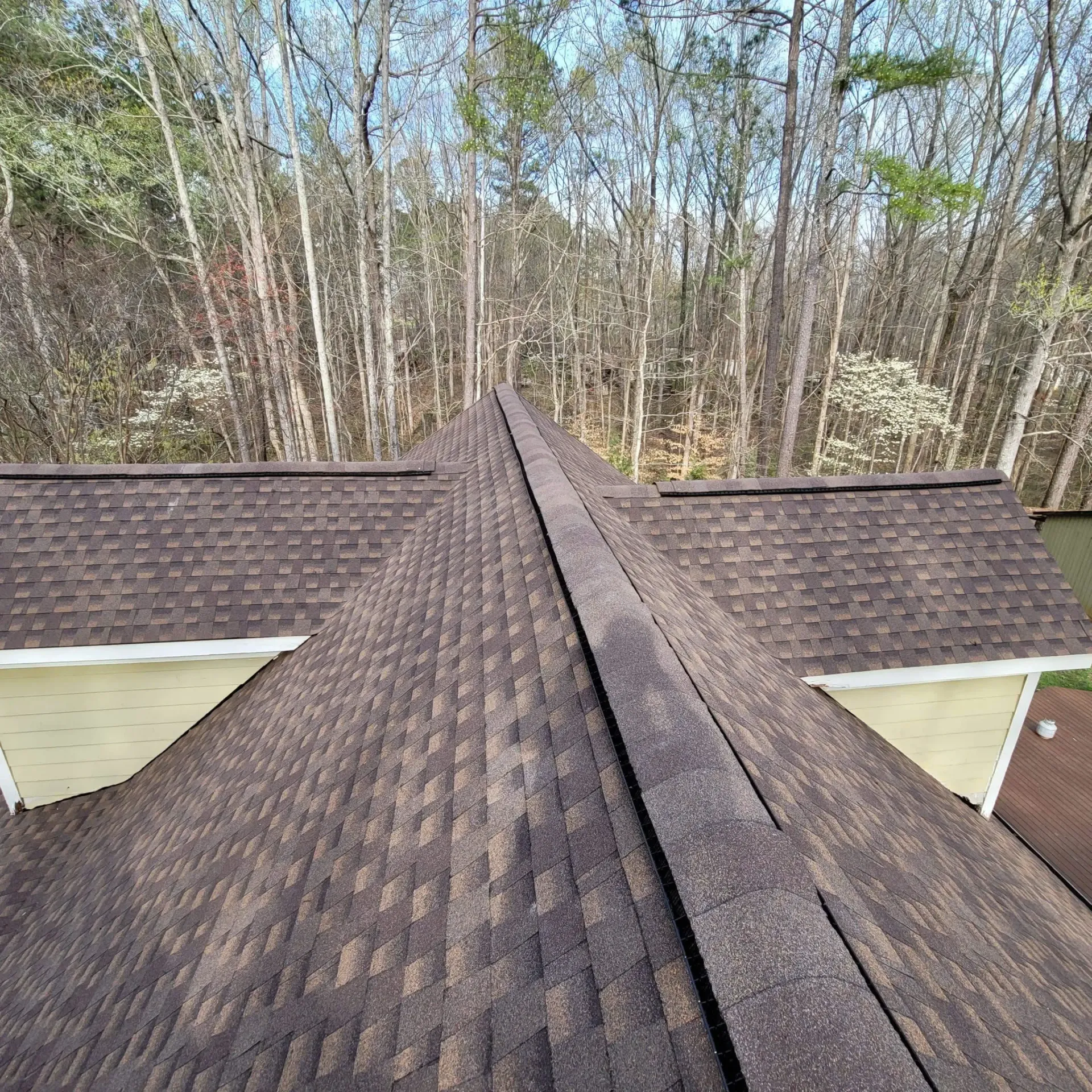 Brown shingle roof with a dark ridge line. Trees fill the background.