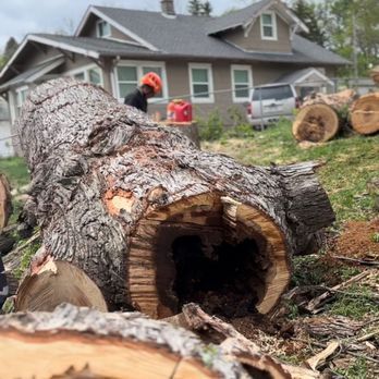 A large log with a hole in it is sitting in front of a house.