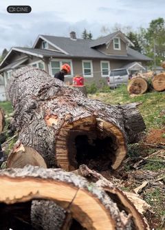 A large log with a hole in it is sitting in front of a house.
