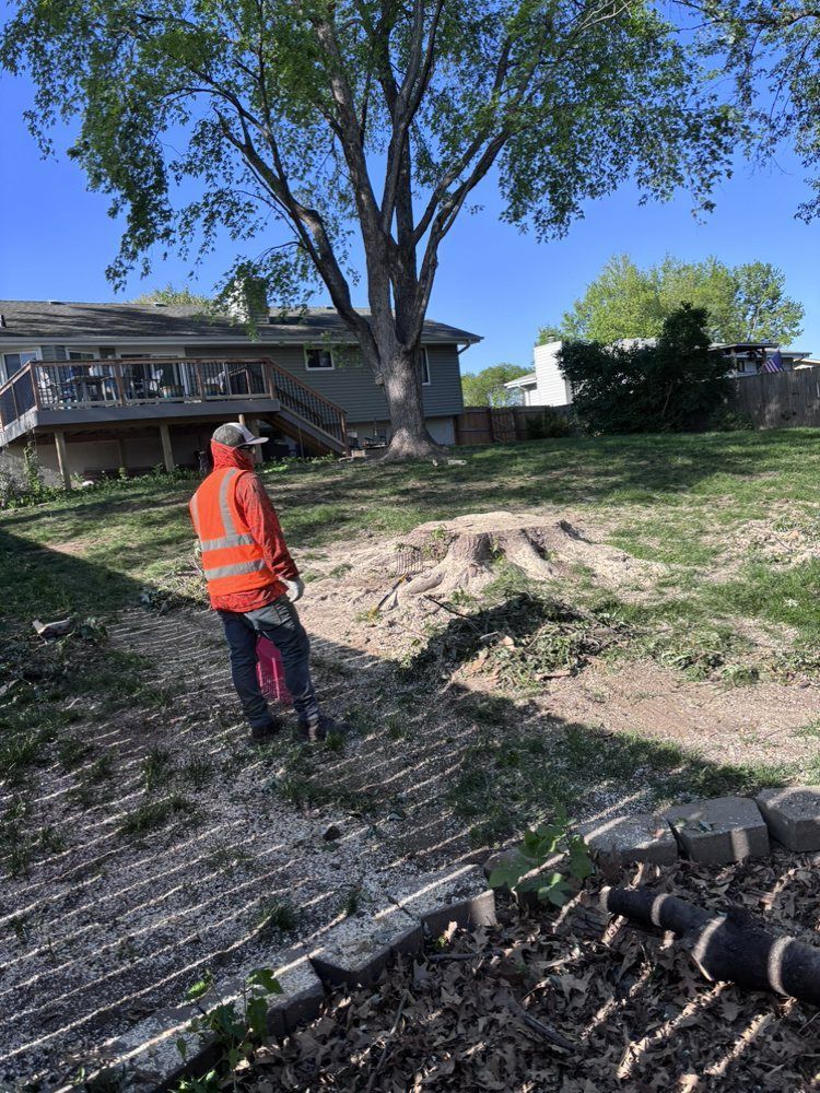 A man is standing in a yard with a chainsaw.