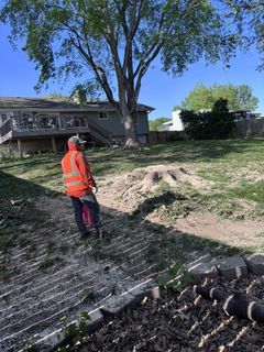 A man is standing in a yard with a chainsaw.