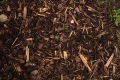 A pile of brown mulch with grass growing out of it.