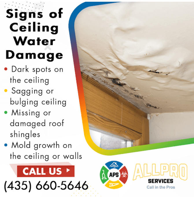 What You Need to Know About Water Damage Repair for Ceilings