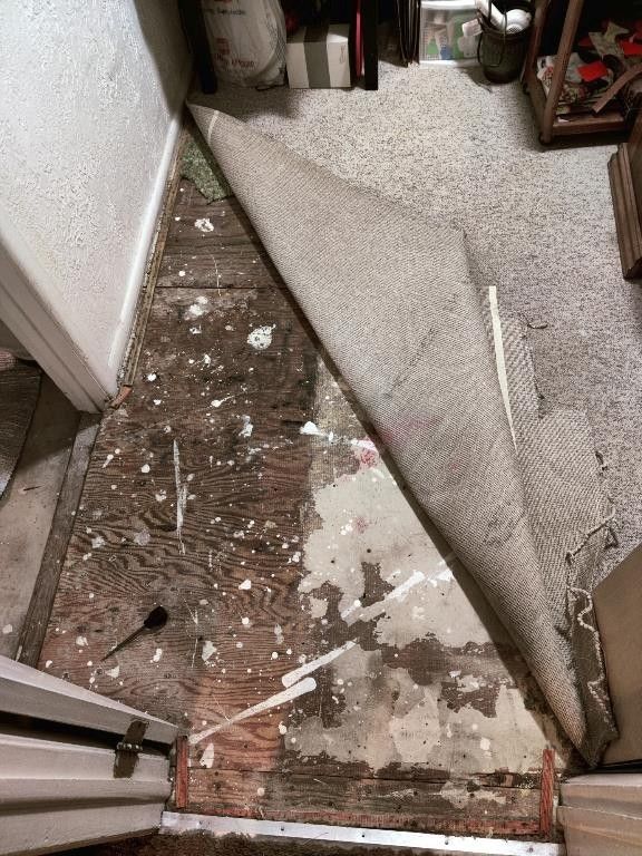 Salt Lake water damage carpet repairs