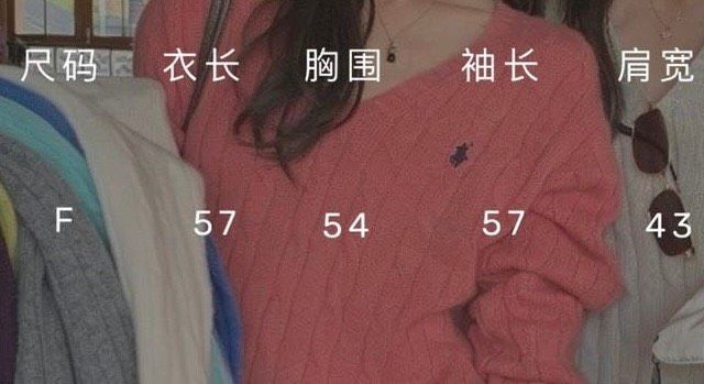 ??十月國慶優惠7-11店取免運??    【???.刺繡小馬V領毛衣】