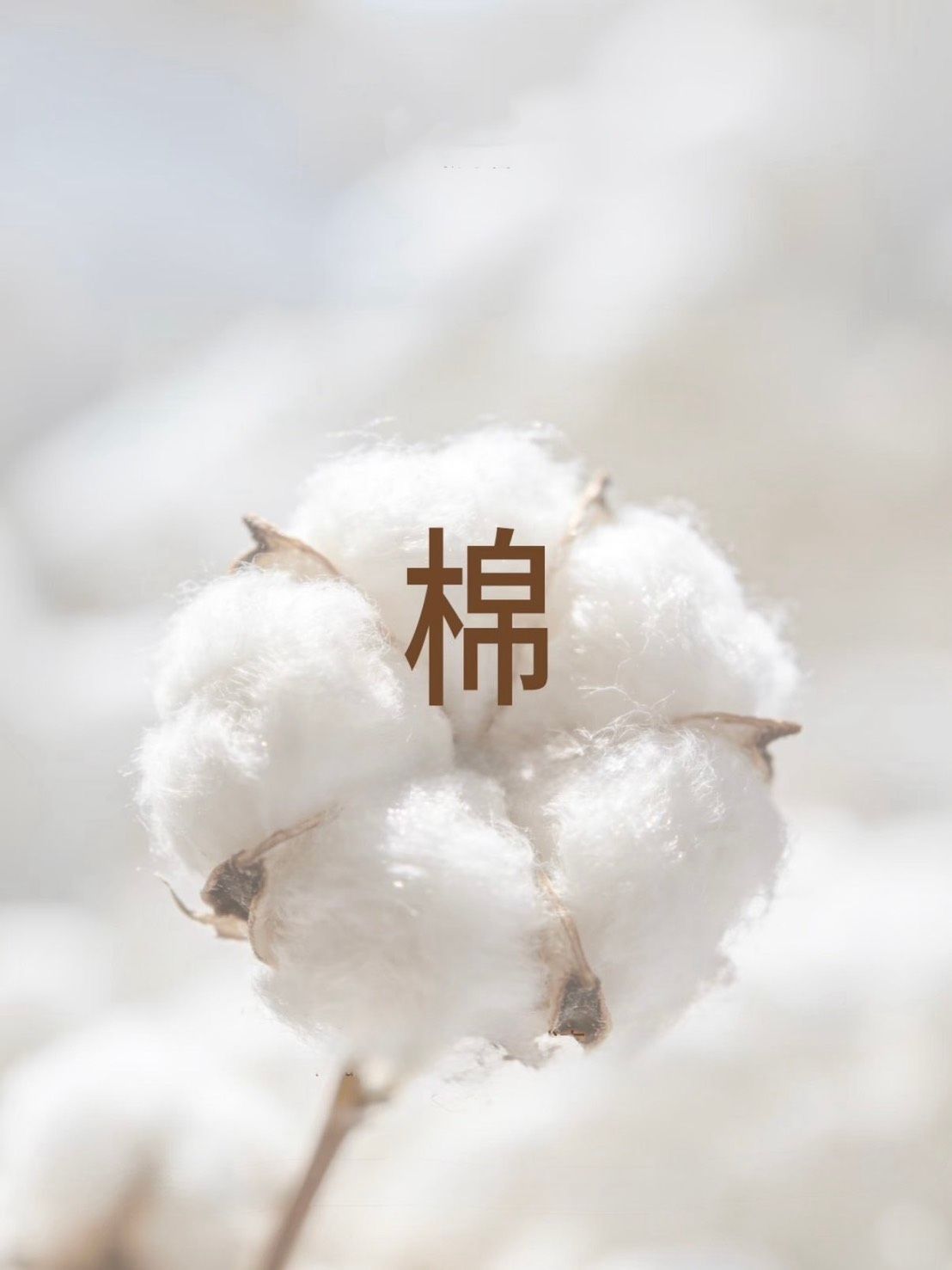 東大門單??最愛的兩穿小心機!