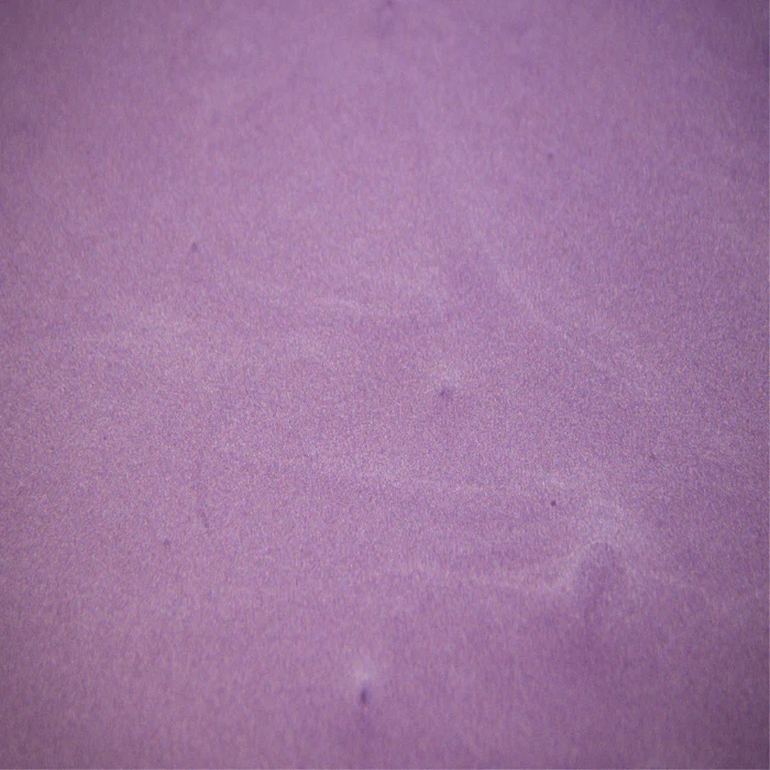 A close up of a piece of purple paper.