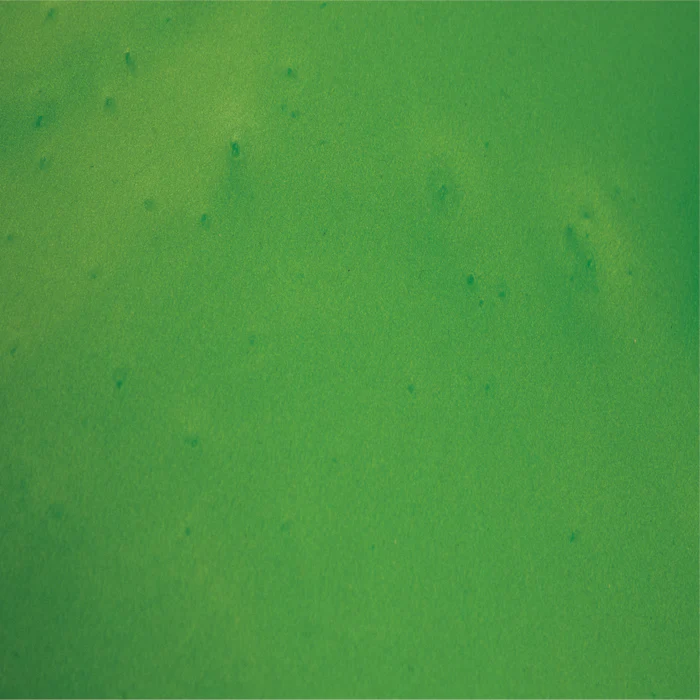 A close up of a green surface with spots on it.
