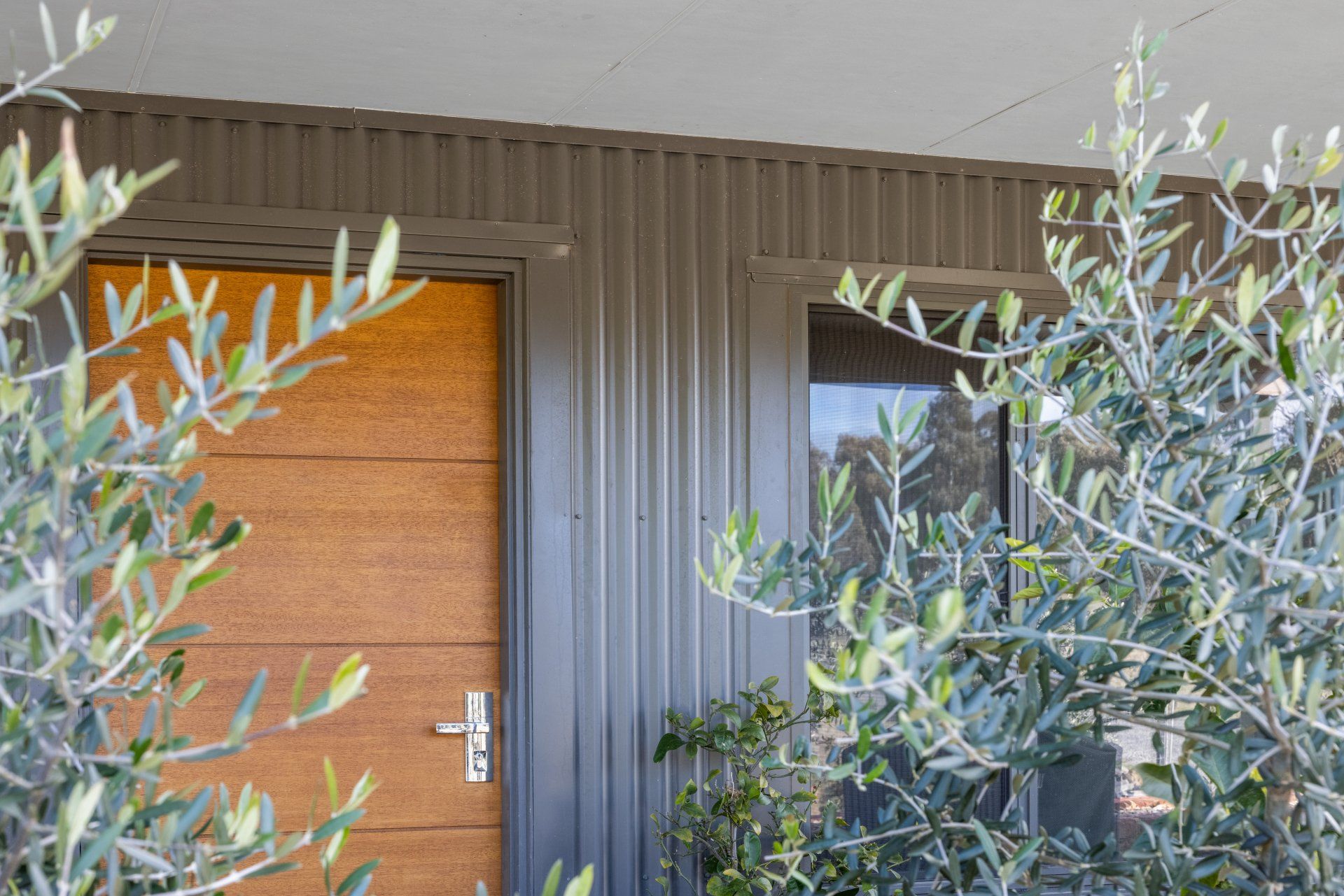 Brown wooden door and window framed by olive tree branches; gray corrugated metal siding.