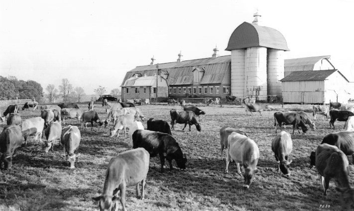 King Barn Dairy Mooseum is part of the Heritage Montgomery Annual Tour