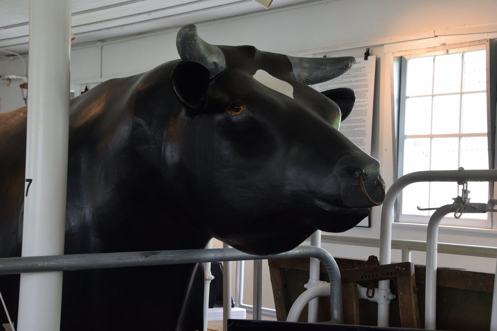 A statue of Astronaut the Prize bull