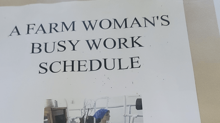 A paper that says a farm woman 's busy work schedule