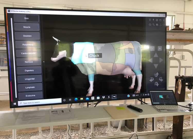 Digestive system software