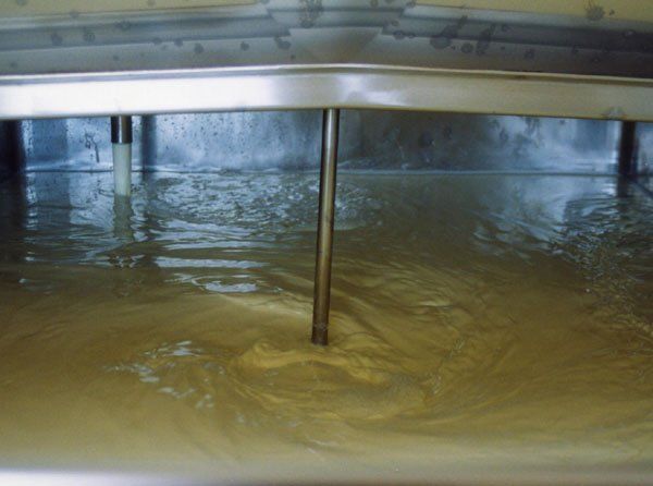 From the milking parlor, milk is piped into a cooling tank