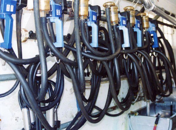 The milking equipment is washed and disinfected twice a day