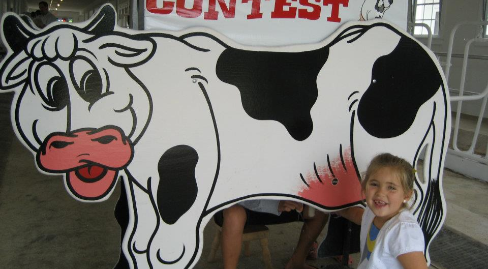 A little girl stands in front of  the comical milking cow