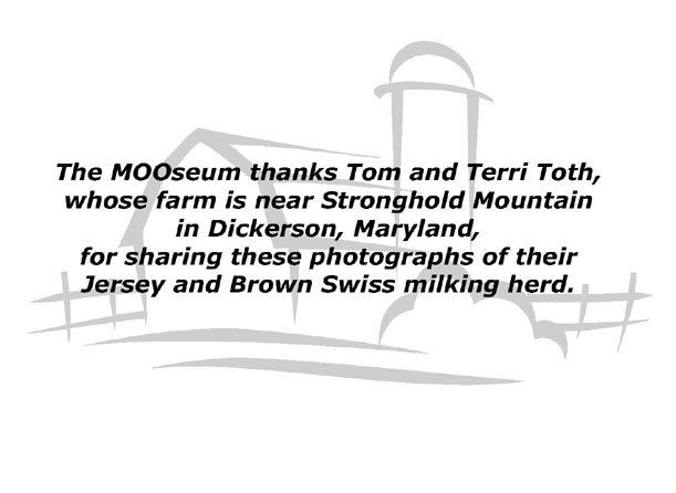 Thanks to the Toth family for sharing their images and farm
