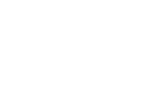 Lofts at Flint Station logo.