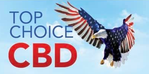 A bald eagle with an american flag on its wings is flying in the sky.