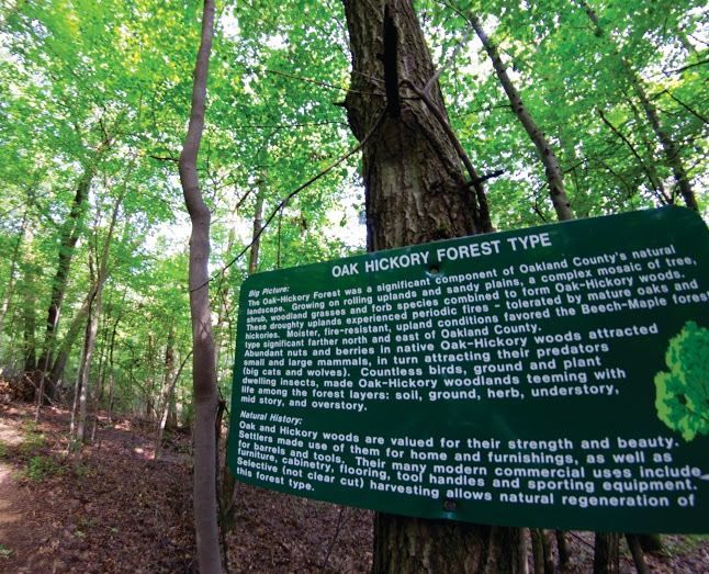 A sign explains the oak hickory forest type – Oxford, MI - Camp Oakland
