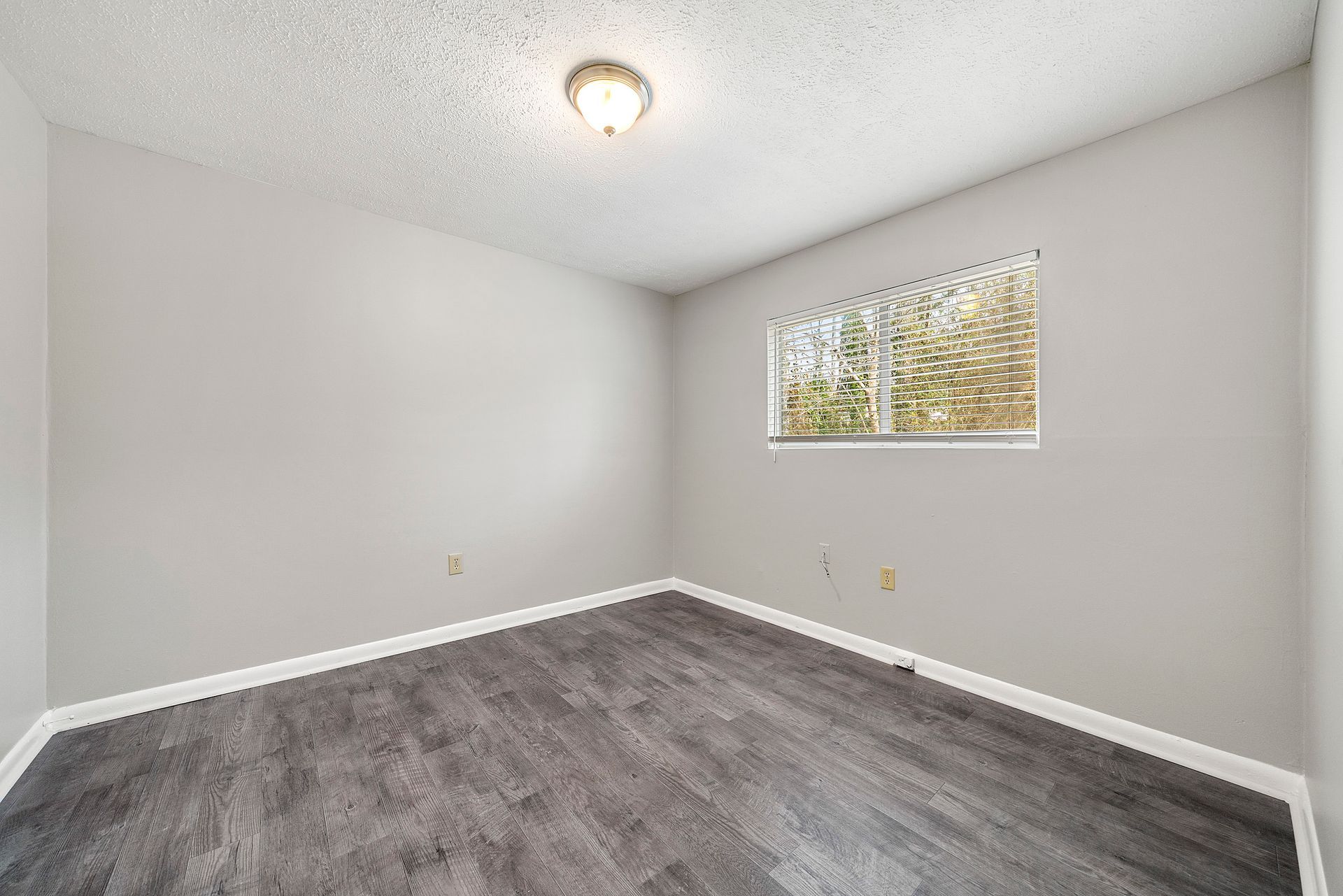 Empty gray bedroom with carpet, a ceiling light, and a small window with trees outside
