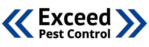 Exceed Pest Control Tampa Pest control company Tampa Bay Area